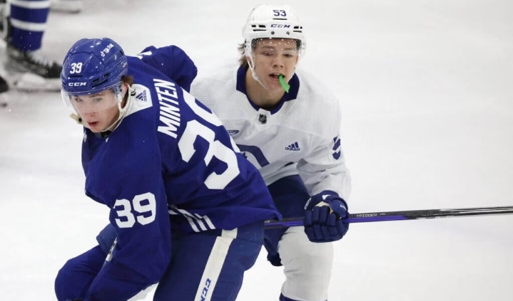 What can the Maple Leafs trade? What should they trade?