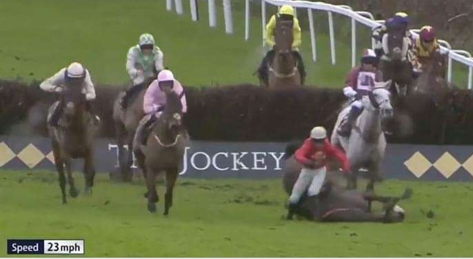 Jockey gets trapped under horse after ‘brutal’ fall in terrifying incident