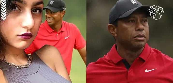 Adult film stars post attacks on Tiger Woods, what happened? (video)