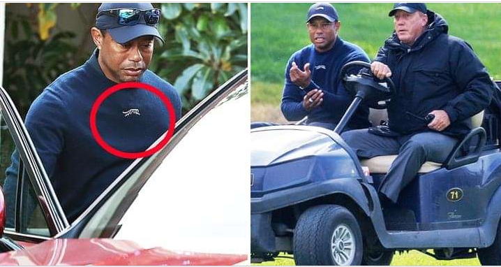 Tiger Woods at centre of stunning new claims after Genesis International withdrawal