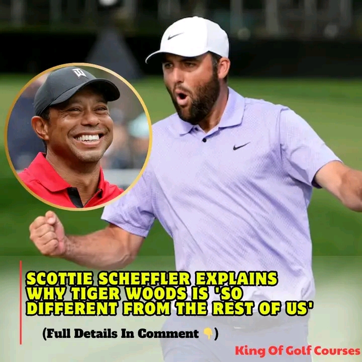 Scottie Scheffler explains why Tiger Woods is ‘so different from the rest of us’