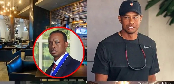 Tiger is at risk of losing all assets from restaurant invest when accidentally ignores this require (video)