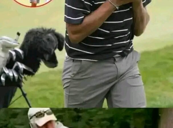 Breaking News: Charlie Woods in Serious Trouble with USGA Championship After New Evidence Backfires Against Him